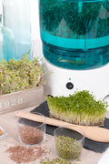 Seed sprouter automatic machine Germoglio
